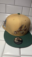 PG Snapbacks